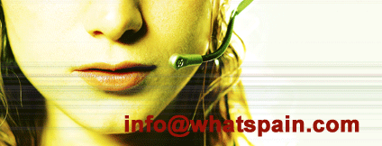 contact with Whatmexico