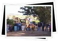 Horse riding in mexico 